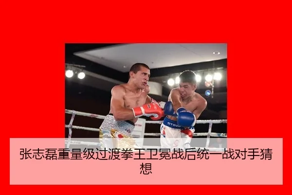 张志磊重量级过渡拳王卫冕战后统一战对手猜想